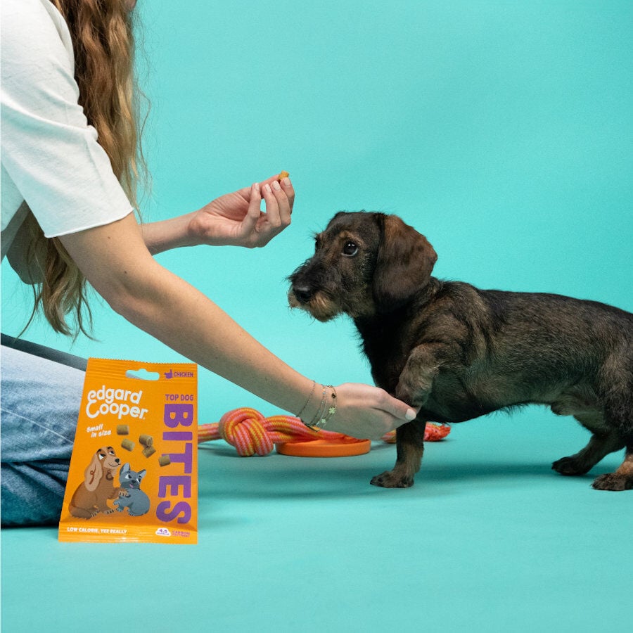 50 g Edgard & Cooper Bocaditos Mini de Pollo para perros, , large indicador imagen numero 3